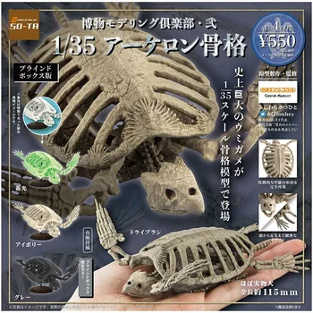 A japán Bandai Valódi Gacha Modell Múzeum Szimuláció Ősi Teknős Állati Csontváz Modell Akció Ábra Játékok